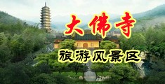 舔人鸡巴的视频啊啊啊啊好爽中国浙江-新昌大佛寺旅游风景区